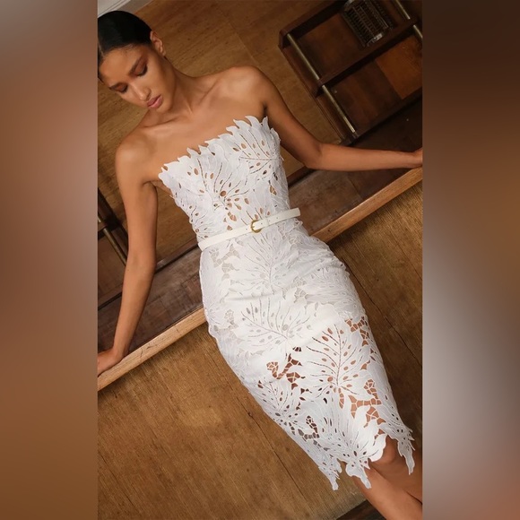 Sexy Whispy Lace Lined Bodycon Belted White MIDI Dress - Picture 2 of 8